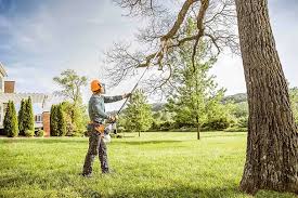 Best Tree Trimming and Pruning  in Oak Park Heights, MN